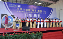 青島開業(yè)慶典服務(wù)策劃的影視資料