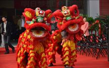 青島舞獅隊(duì)鑼鼓隊(duì)的開業(yè)照片