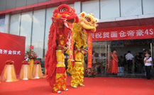 舞龍舞獅隊(duì)表演的晚會(huì)照片