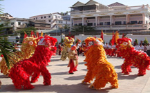 青島舞獅隊(duì)鑼鼓隊(duì)的會(huì)議照片