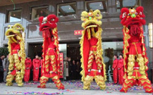 舞龍舞獅隊(duì)表演的影視資料